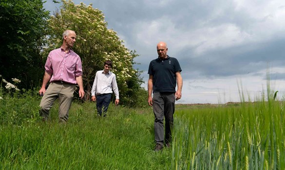 Penrith Monitor Farm 